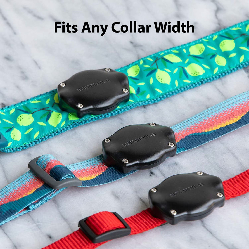 Elevation Lab TagVault AirTag dog collar mount backplate with screws for durable use.