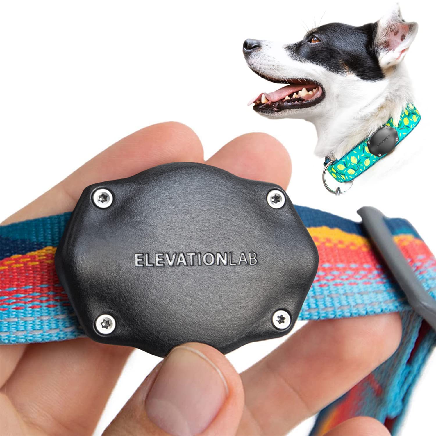 Elevation Lab TagVault AirTag dog collar mount front view shows secure, no-dangle attachment.