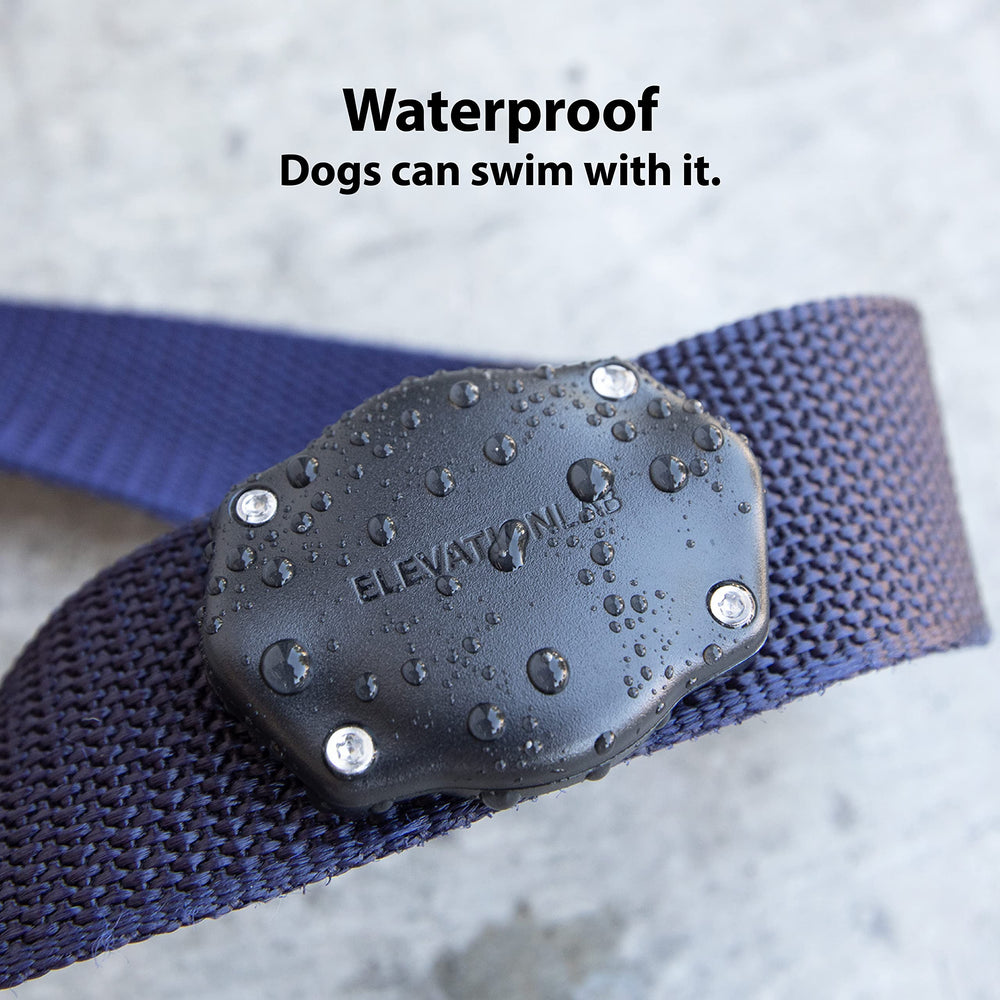 Elevation Lab TagVault AirTag dog collar mount through collar screws secure to collars up to 5mm.