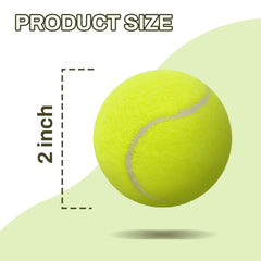 Elevon dog ball launcher-compatible mini tennis balls for easy throwing.
