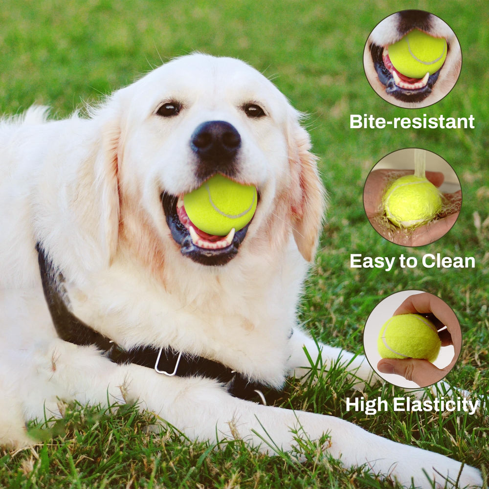 Elevon easy-clean dog ball ready for quick rinse and reuse.