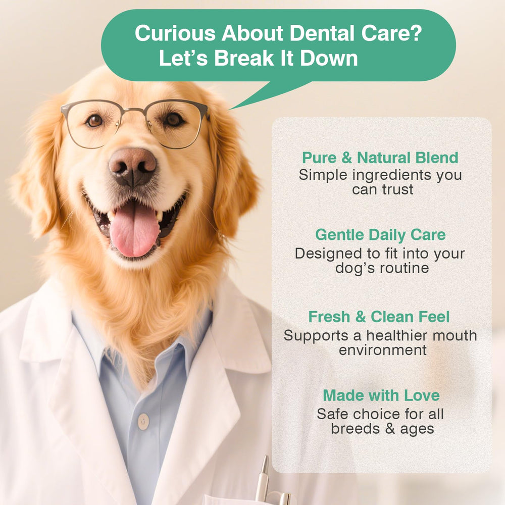 elevtc dog dental powder applied on meals supports routine care.