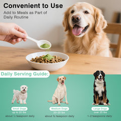 elevtc dog dental powder dosing spoon illustrates simple portion control.