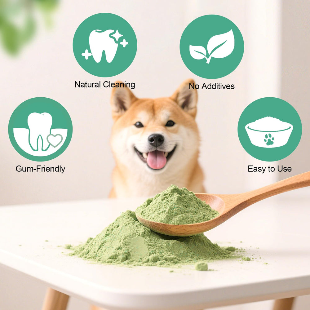 elevtc dog dental powder sprinkled over food shows no-brush convenience.