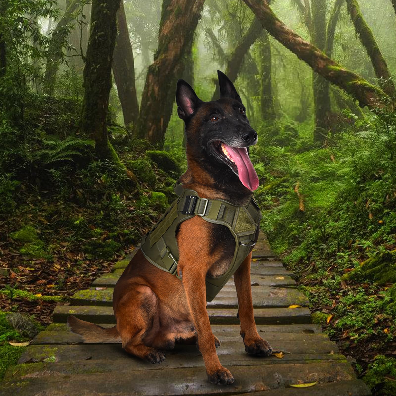 ELFTREE Tactical Dog Harness reflective strip enhancing night visibility.