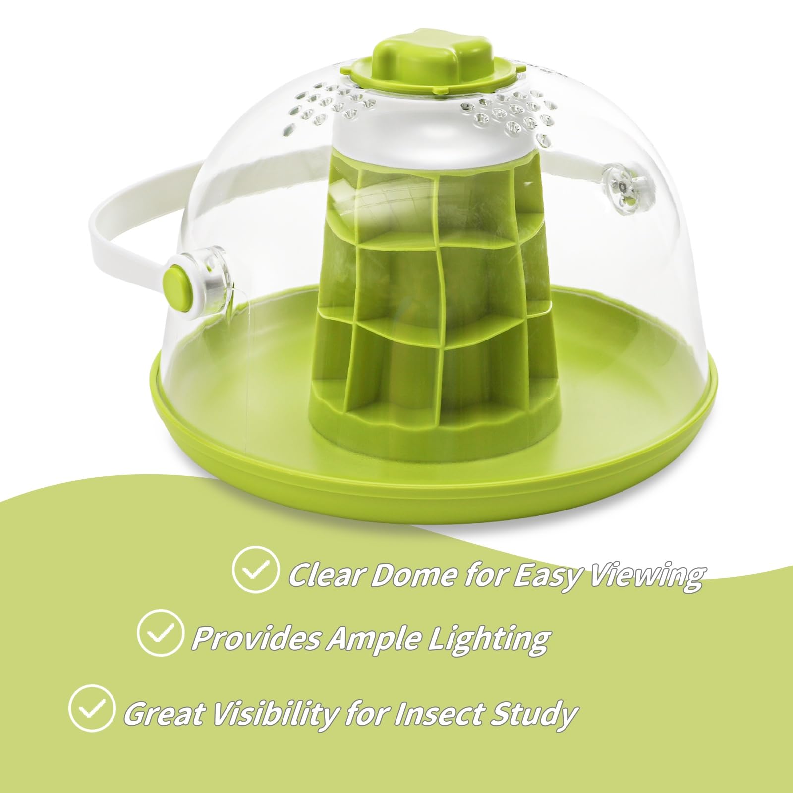 ELFULLY snail terrarium removable base simplifies setup and quick cleaning after observation sessions.