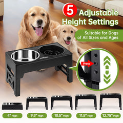 EliteField elevated dog bowls with 58-ounce stainless steel bowls for large meals