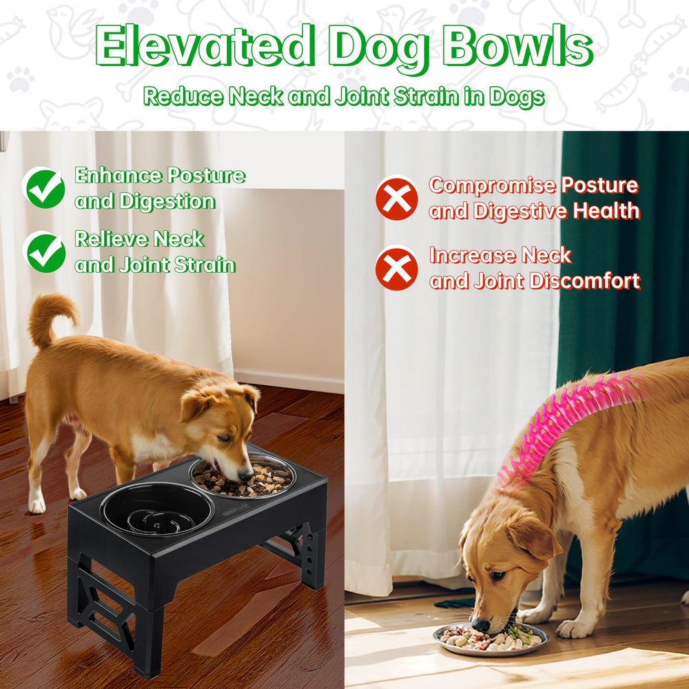 EliteField elevated dog bowls showing five adjustable heights for comfort and digestion