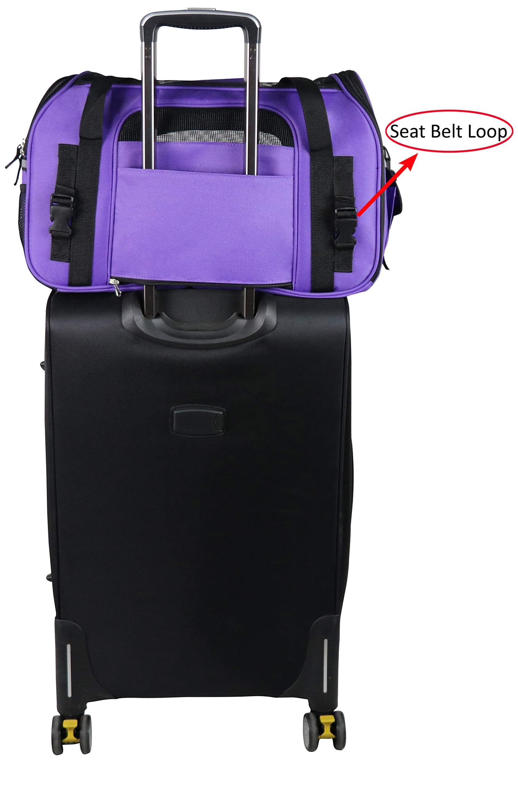 EliteField soft pet carrier built-in leash adds security inside transit.
