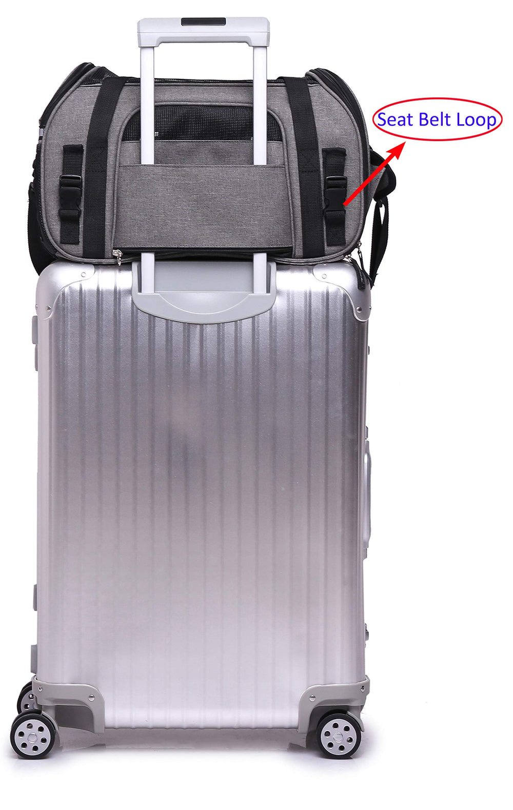 EliteField soft-sided pet carrier with hard support board maintains structure