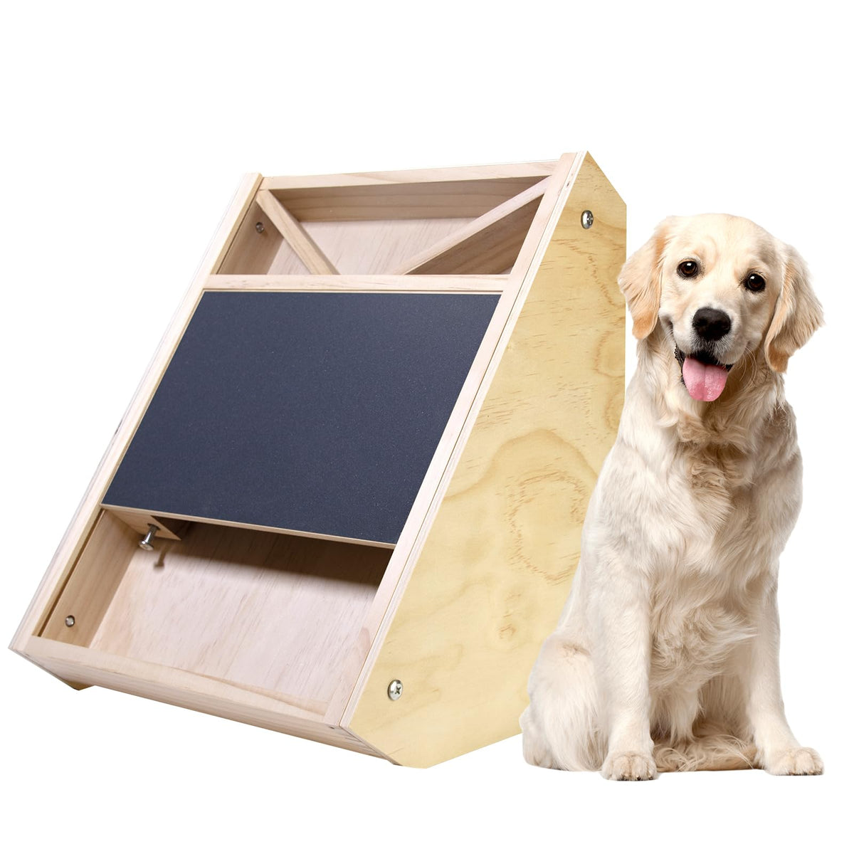 Elixique dog nail scratch board top view with safe self-guided nail filing