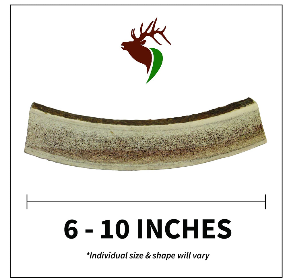 Elkhorn Premium Chews elk antler inner marrow access for tasty chew