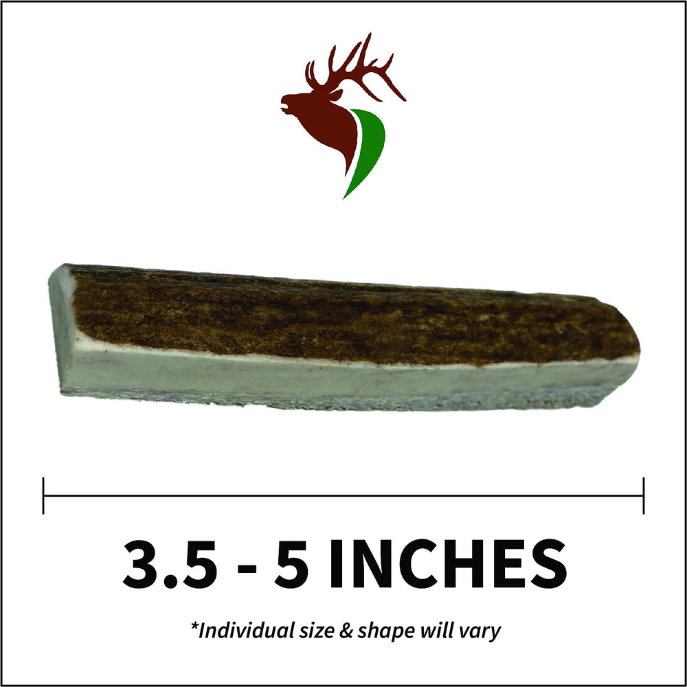 Elkhorn Premium Chews elk antler inner marrow access highlights flavorful center for canine enrichment.