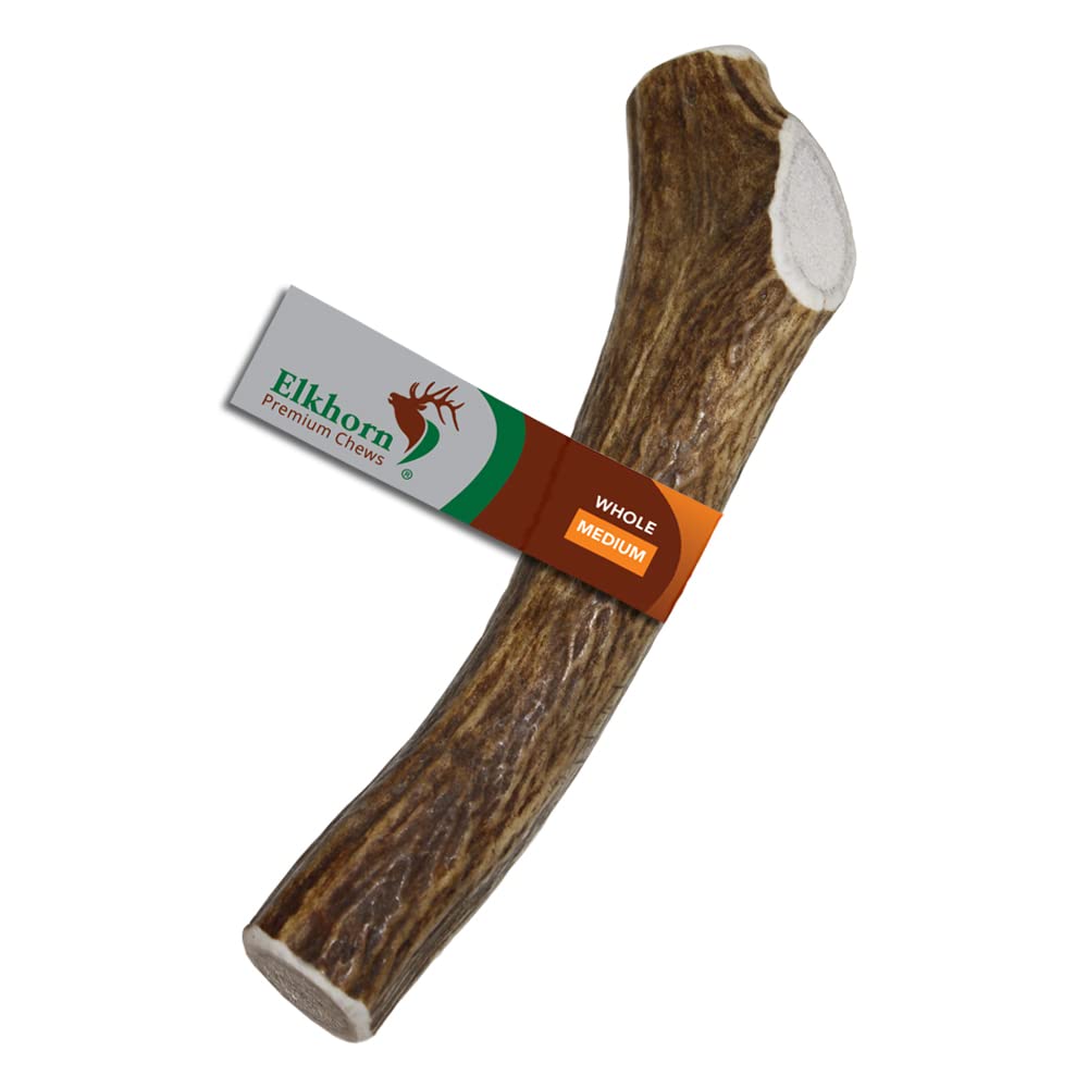 Elkhorn Premium Chews medium elk antler dog chew for lasting stress-free chewing