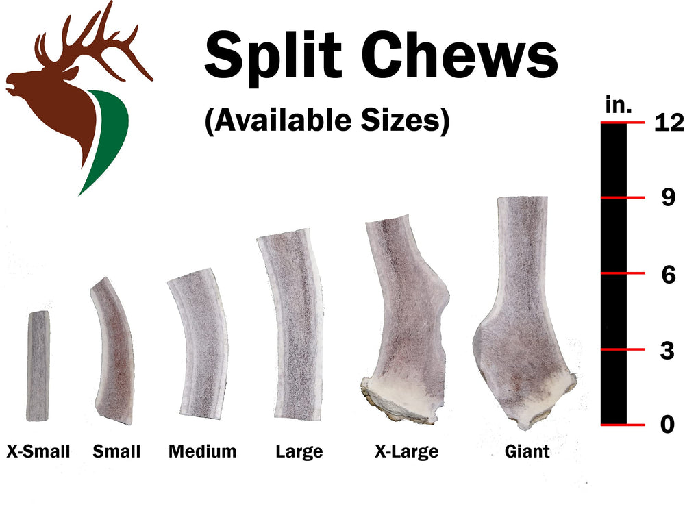 Elkhorn Premium Chews small dog elk antler chew shows durable, mess-free entertainment for puppies.