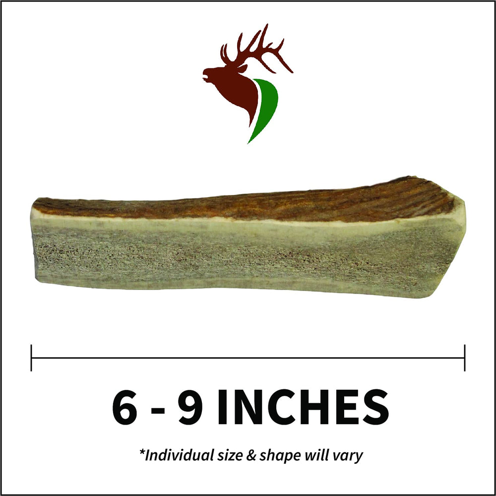 Elkhorn Premium Chews usa-sourced-elk-antler highlights natural material for wholesome chewing.