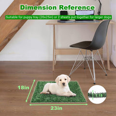 ELLOTY two-patch replacement set for continuous potty sessions while one patch cleans