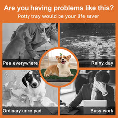ELLOTY washable pee pad with tray ready for quick cleanup