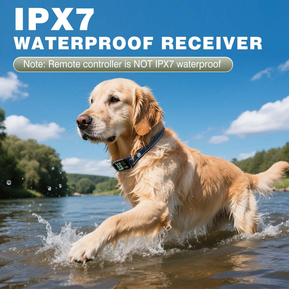 ELOOP bark collar IPX7 waterproof design for rain and splashes.