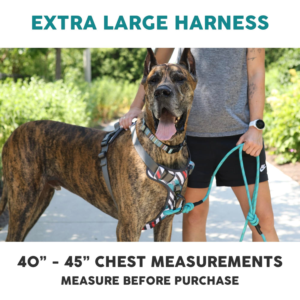Embark Adventure Dog Harness back clip offers secure leash options.