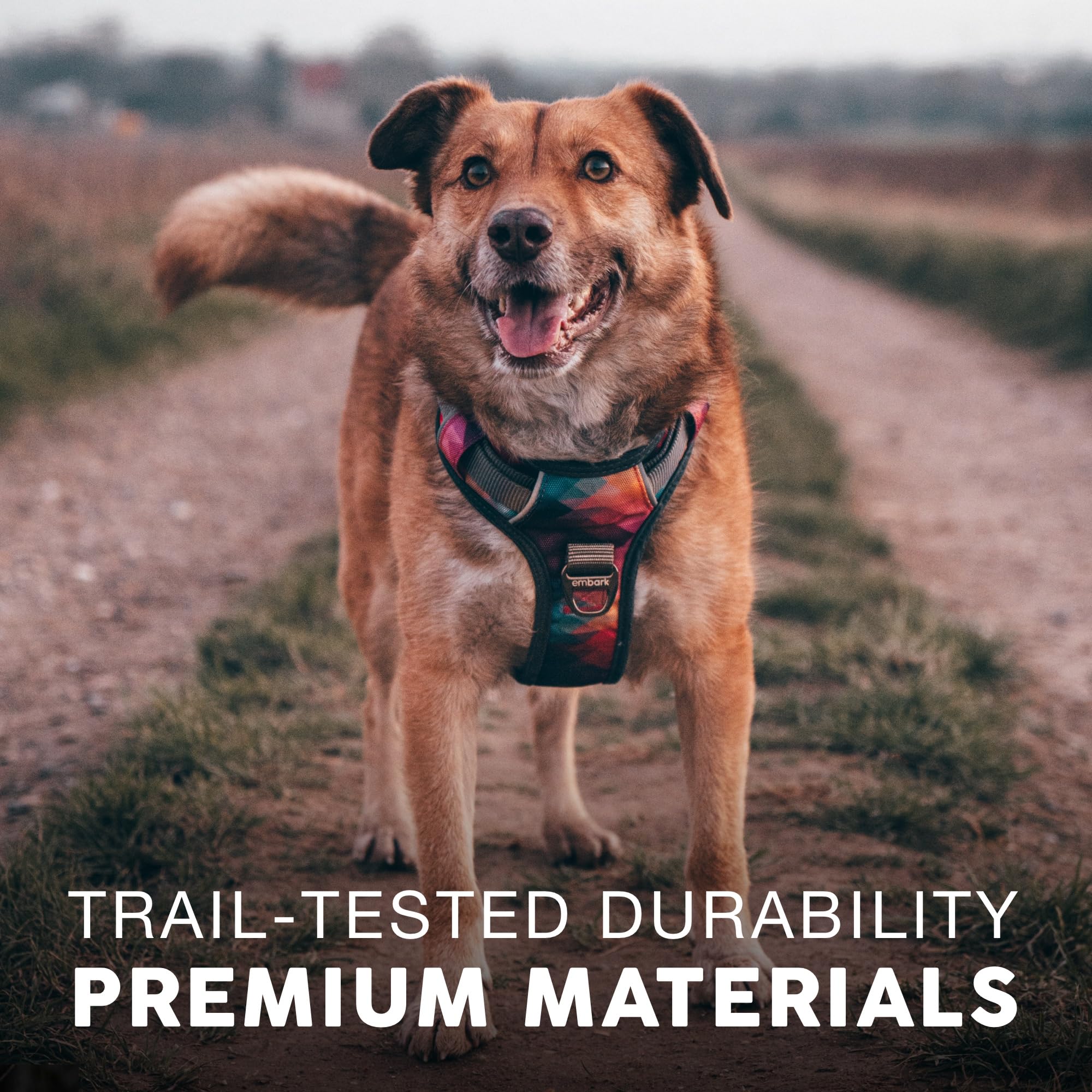 Embark Adventure Dog Harness heavy-duty nylon for durable wear.