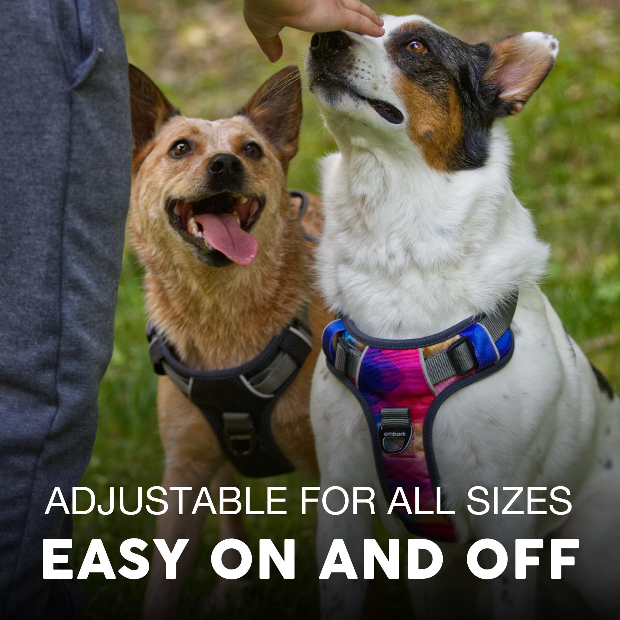 Embark Adventure Dog Harness 360° reflective trim boosts visibility day and night.