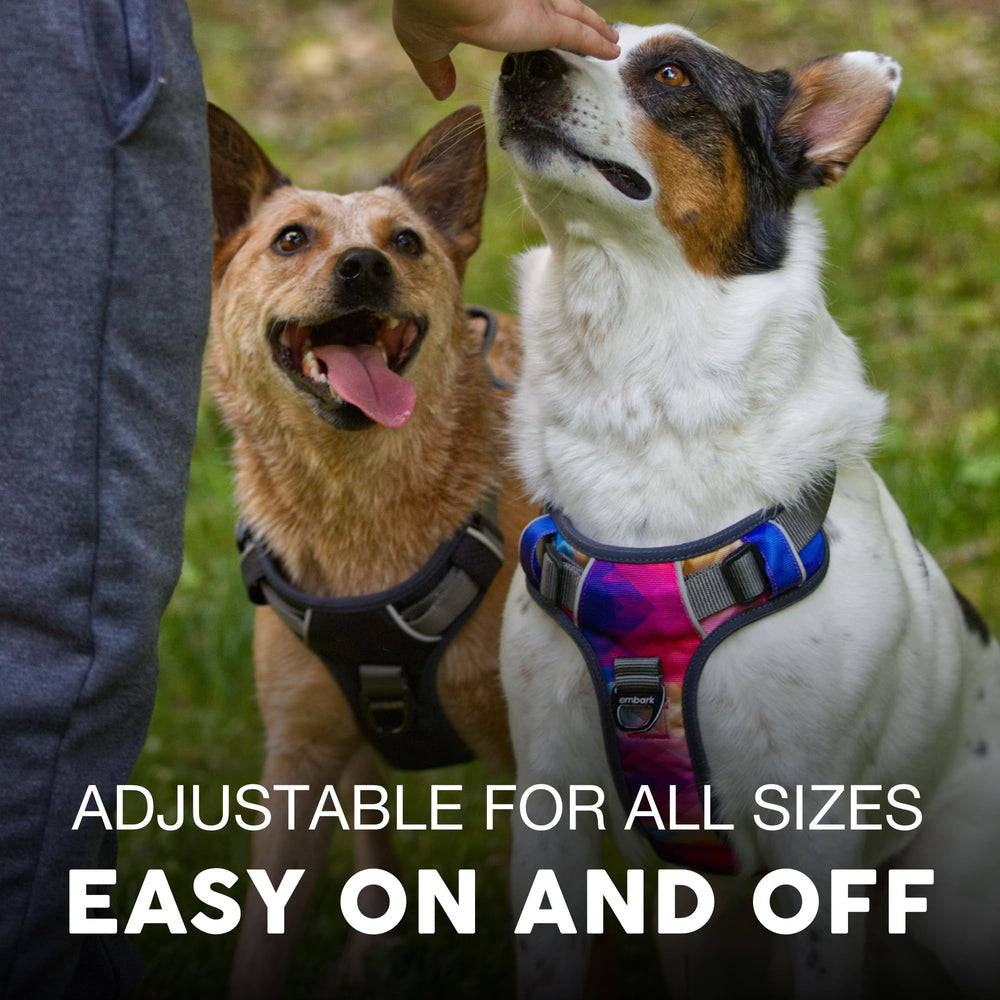 Embark Adventure Dog Harness 360° reflective trim boosts visibility day and night.