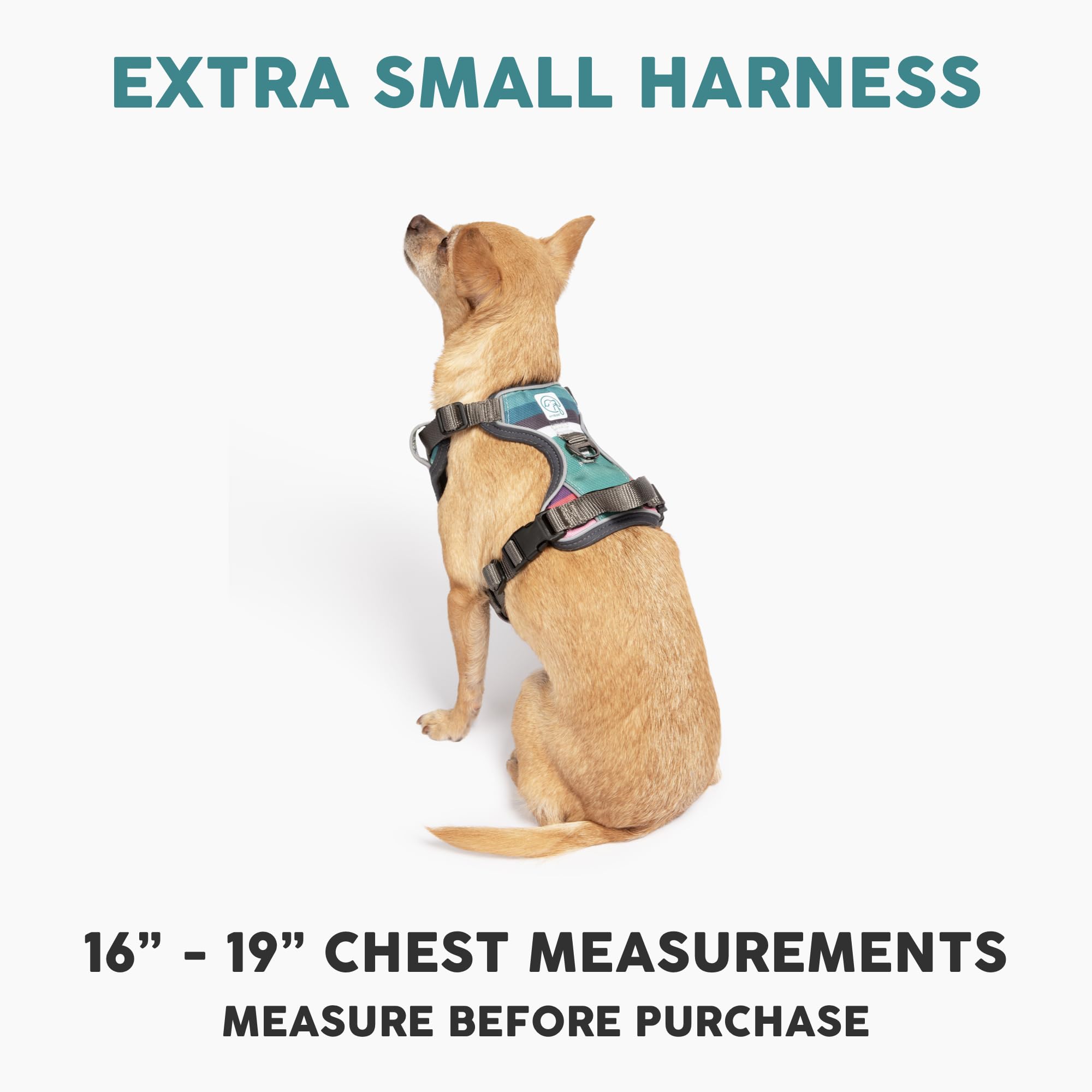 Embark Adventure Harness back clip for secure leash options on any size dog.
