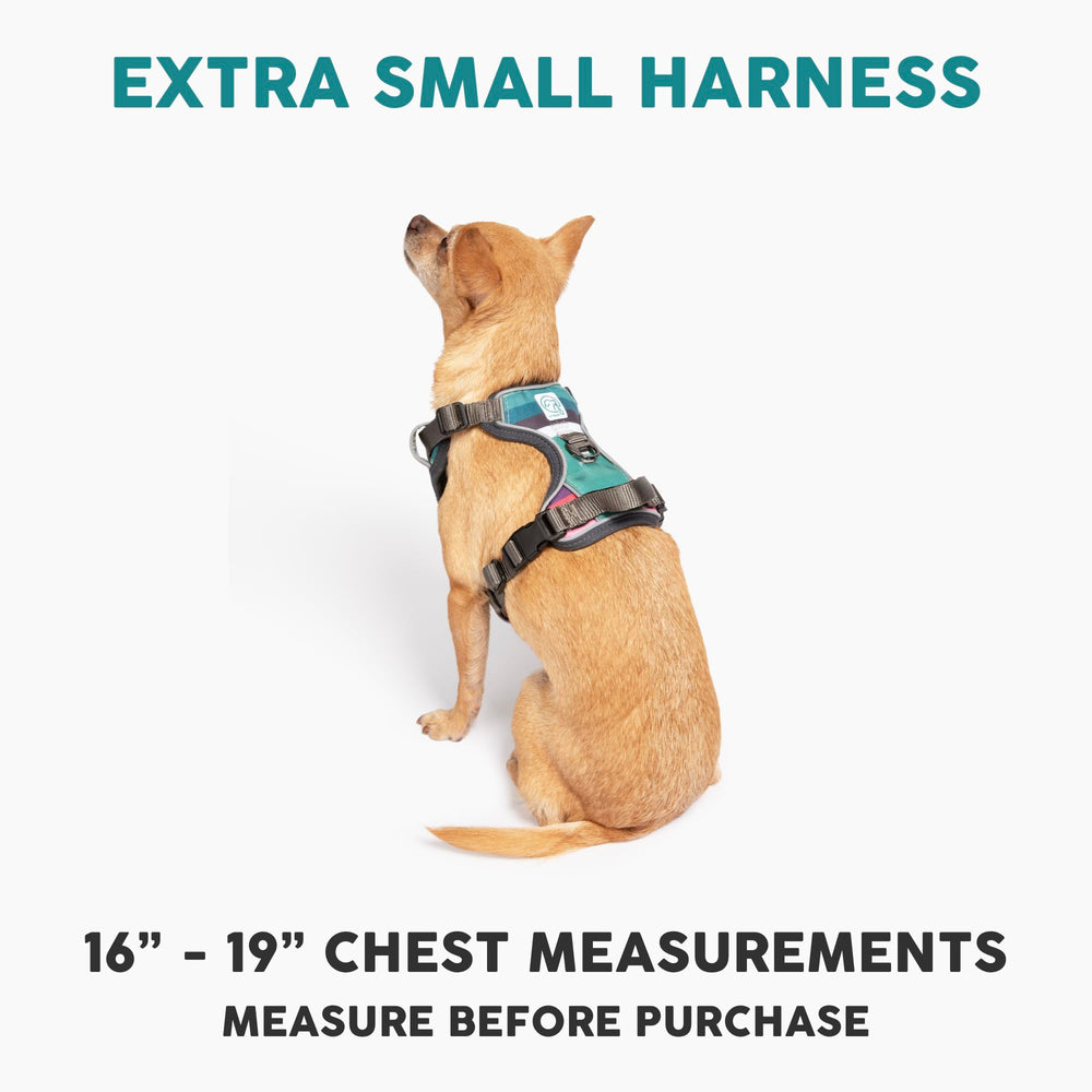 Embark Adventure Harness back clip for secure leash options on any size dog.