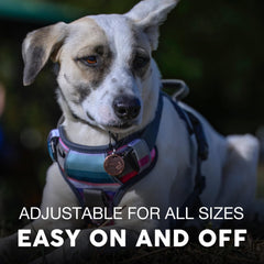 Embark Adventure Harness gel handle offers soft grip for gentle control when lifting.