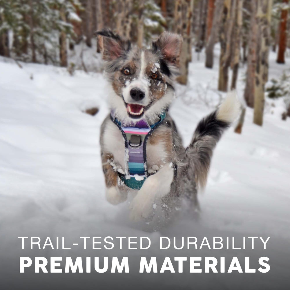 Embark Adventure Harness heavy-duty oxford construction for durable daily adventures.