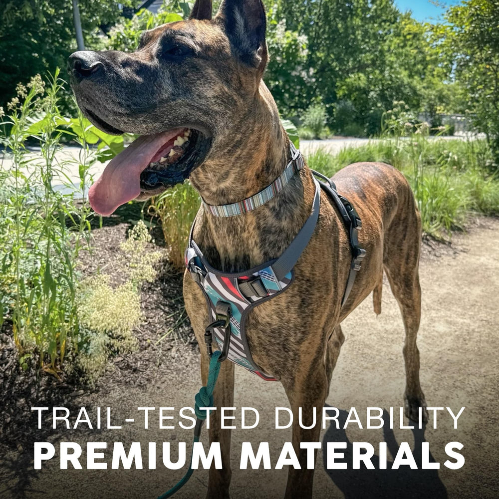 Embark Adventure harness soft padding protects your dog's chest and trachea