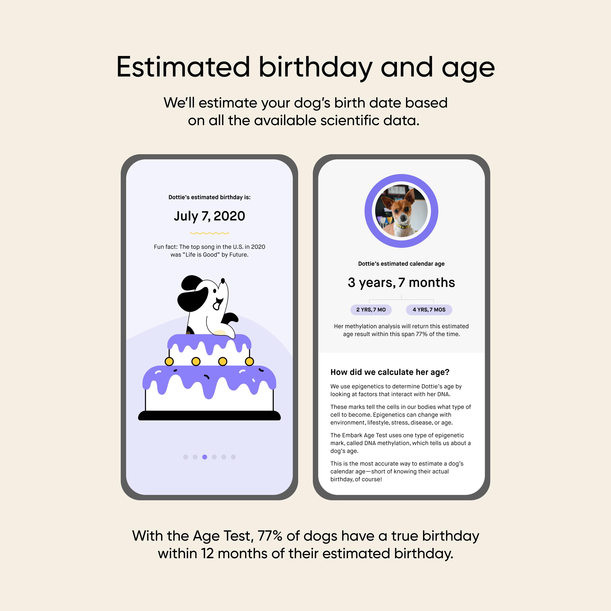 Embark age test activation step showing easy setup for pet owners