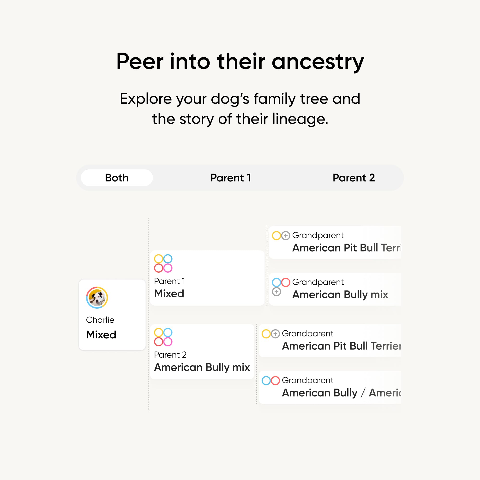 Embark Ancestry map shows breed mix traced to great-grandparents