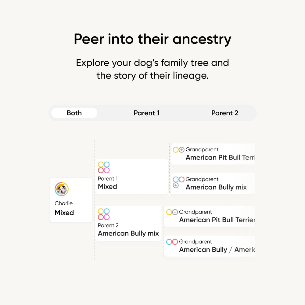 Embark Ancestry map shows breed mix traced to great-grandparents