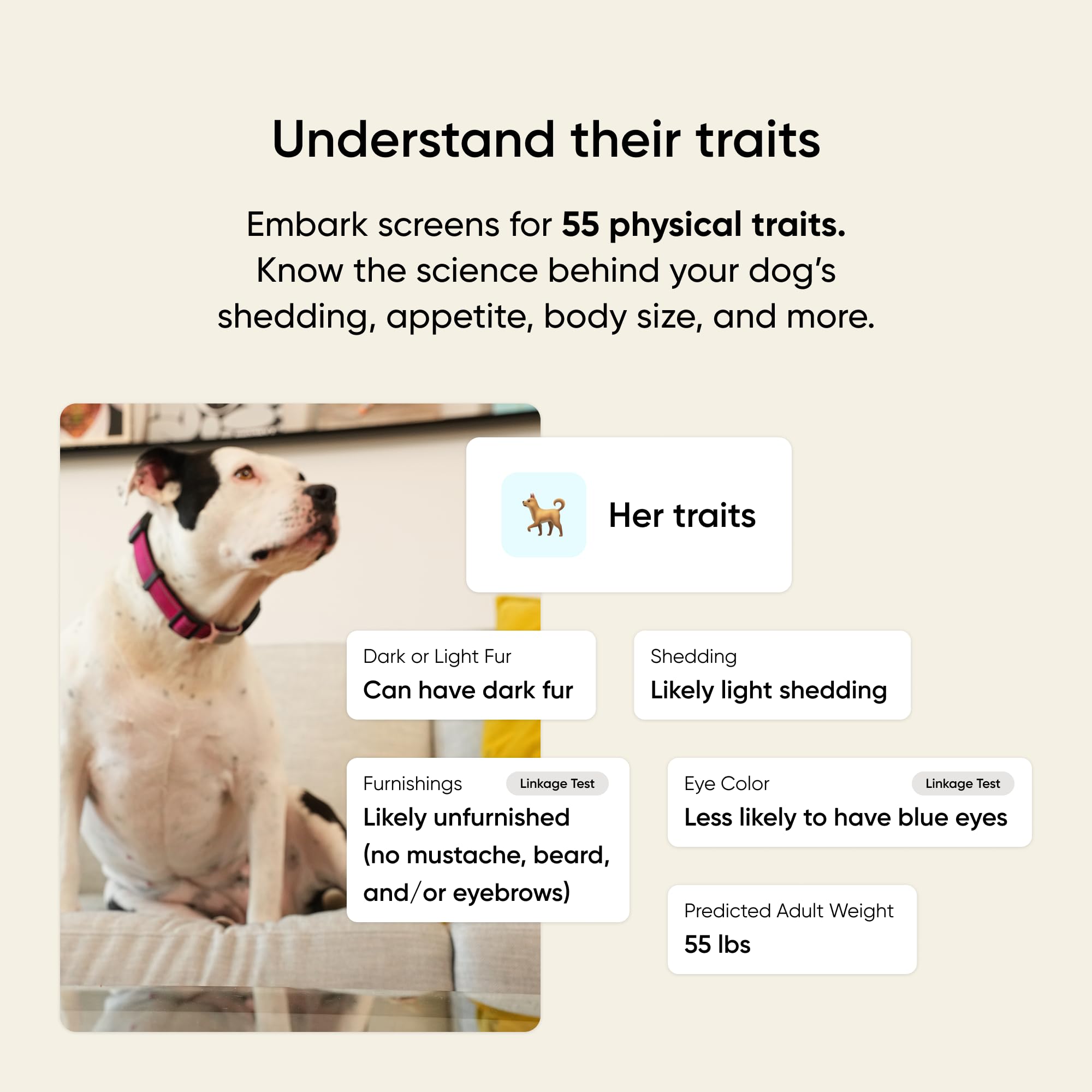 Embark breed identification chart highlights breed mix accuracy