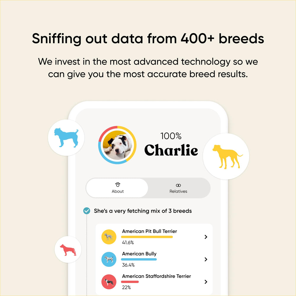 Embark dog DNA sample kit ready for testing