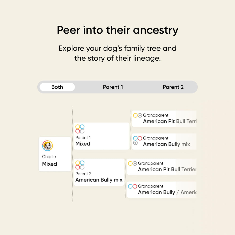 Embark relative finder connects canine relatives via shared DNA