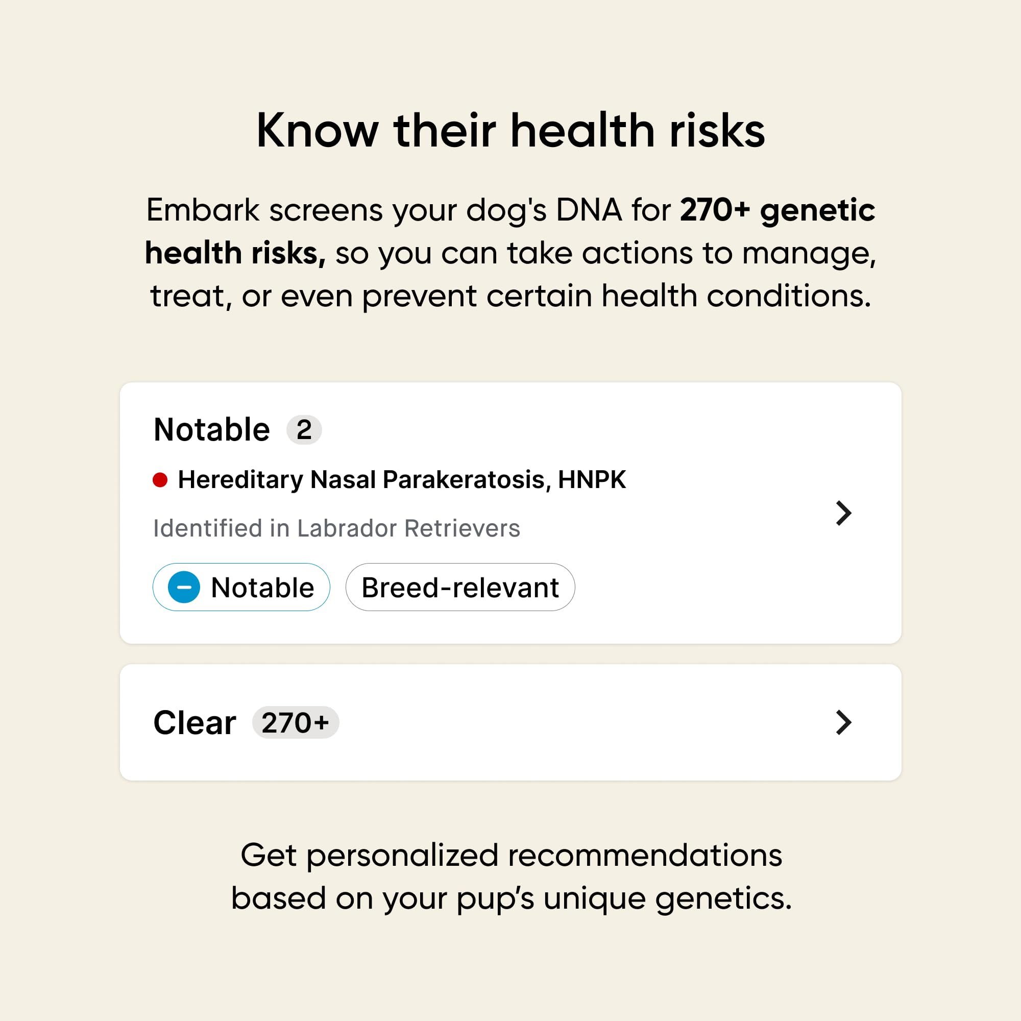 Embark results dashboard shows breed, health, and trait insights