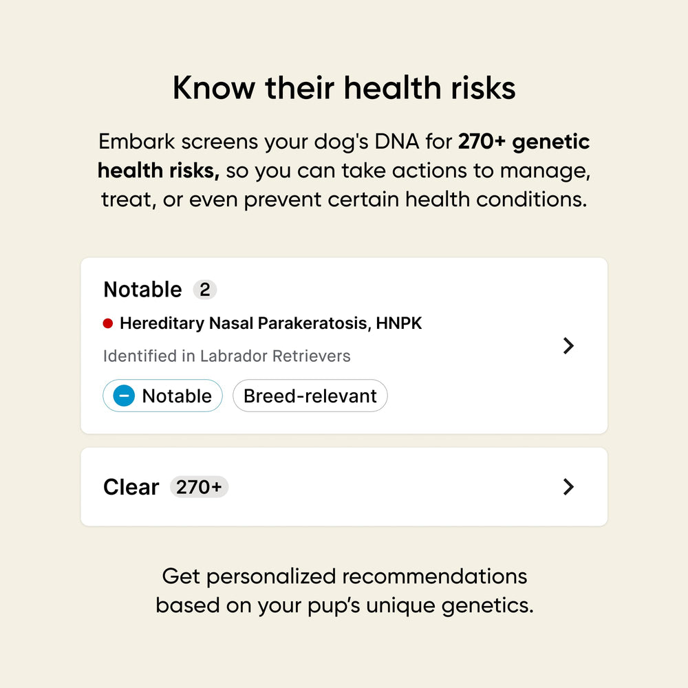 Embark results dashboard shows breed, health, and trait insights