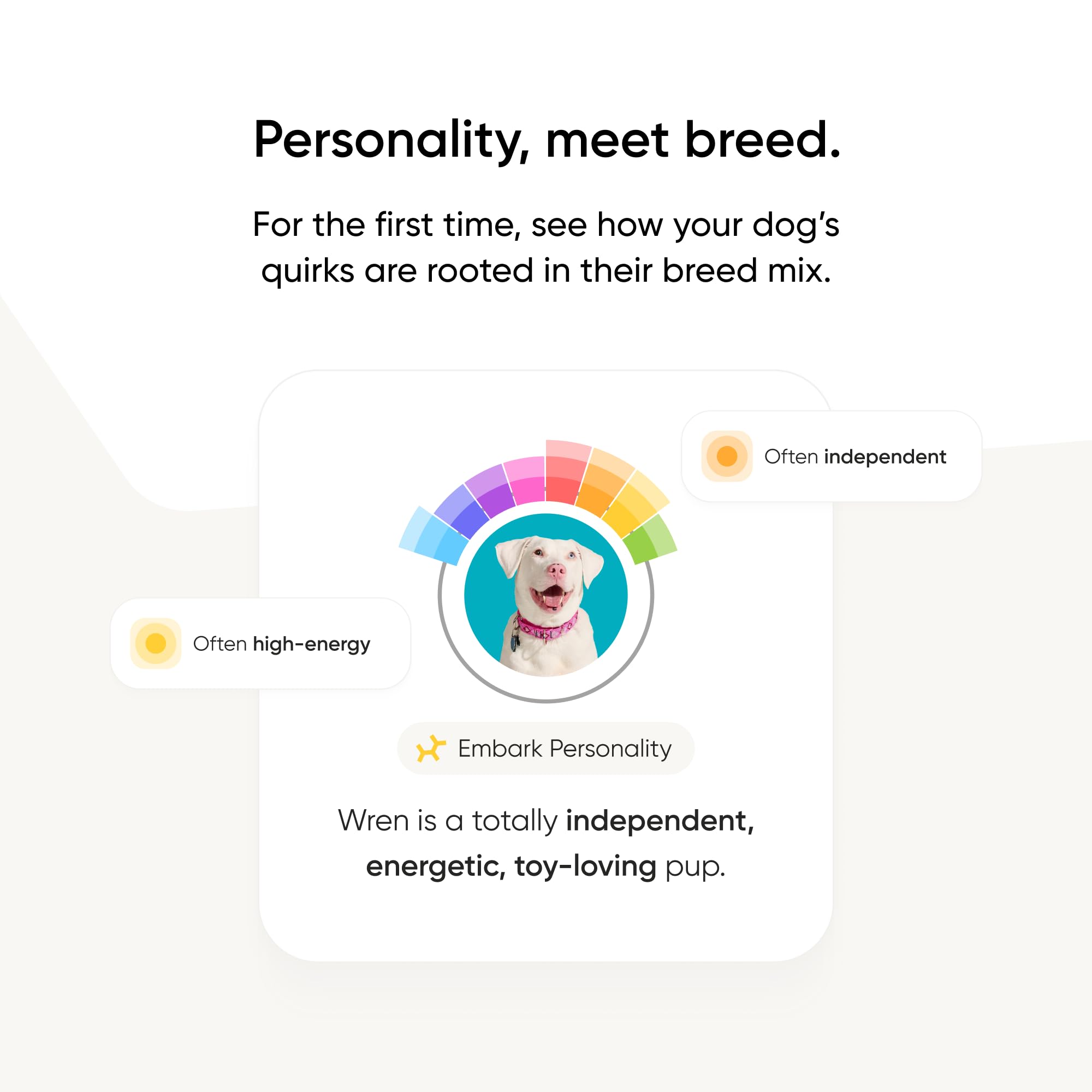 Embark vet support with experts for result questions