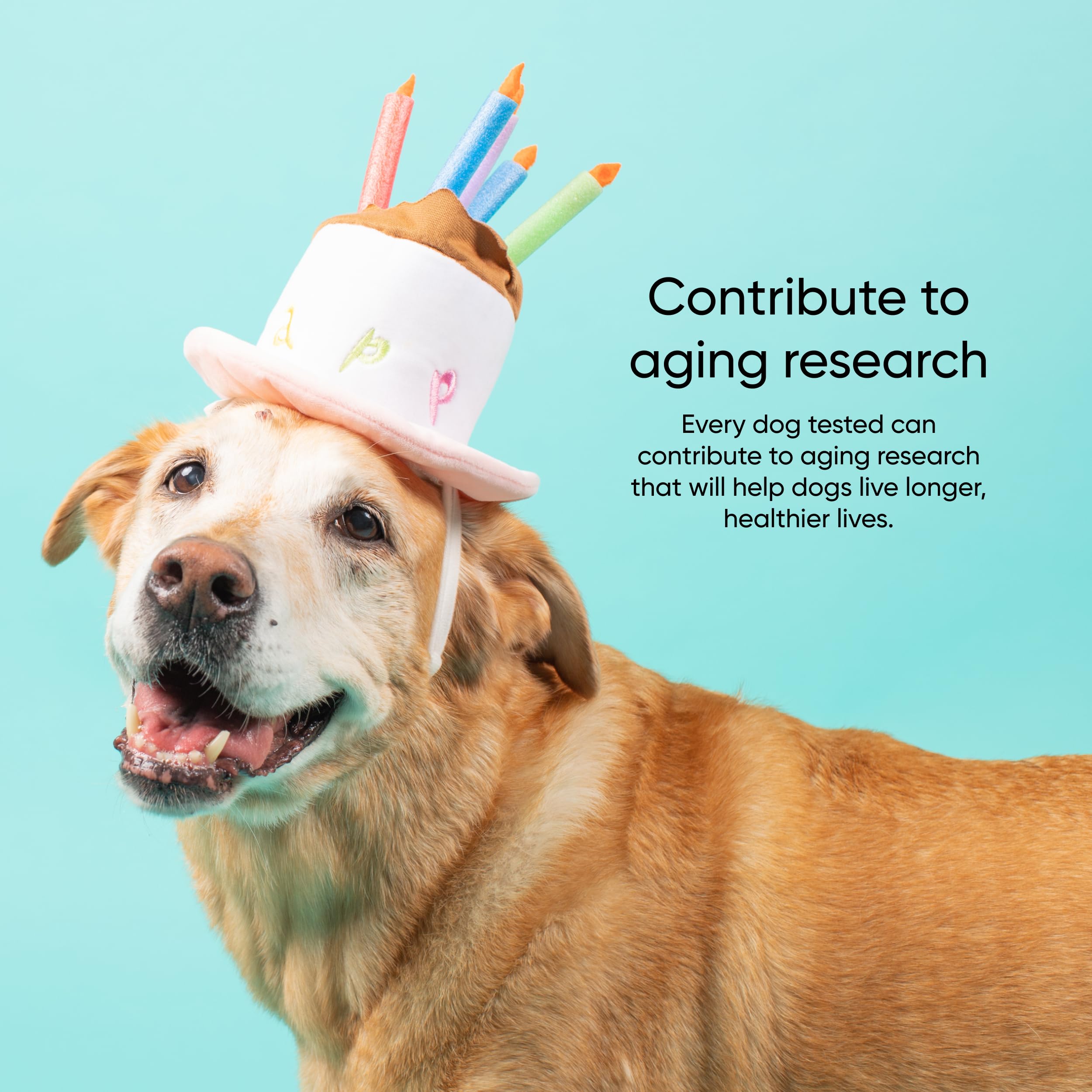 Lab processing results showing age estimate and life stage tips