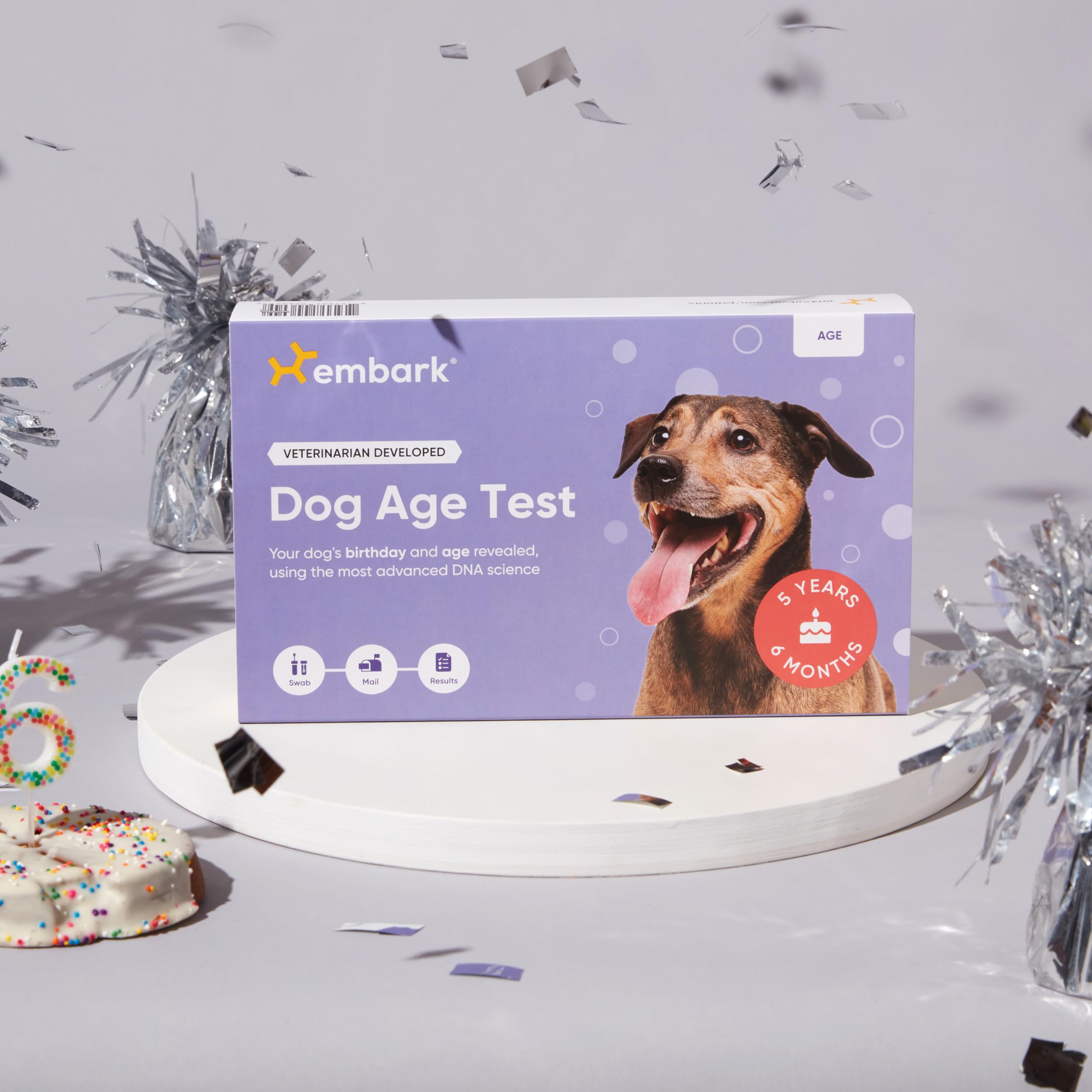 Embark life-stage tips for dog diet, exercise, and care