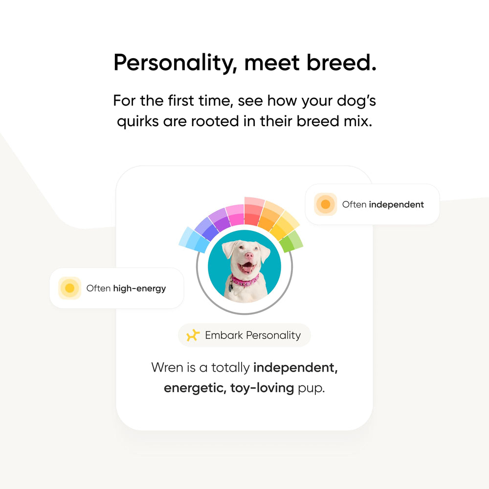 Embark Personality Quiz reveals instincts tied to breed mix