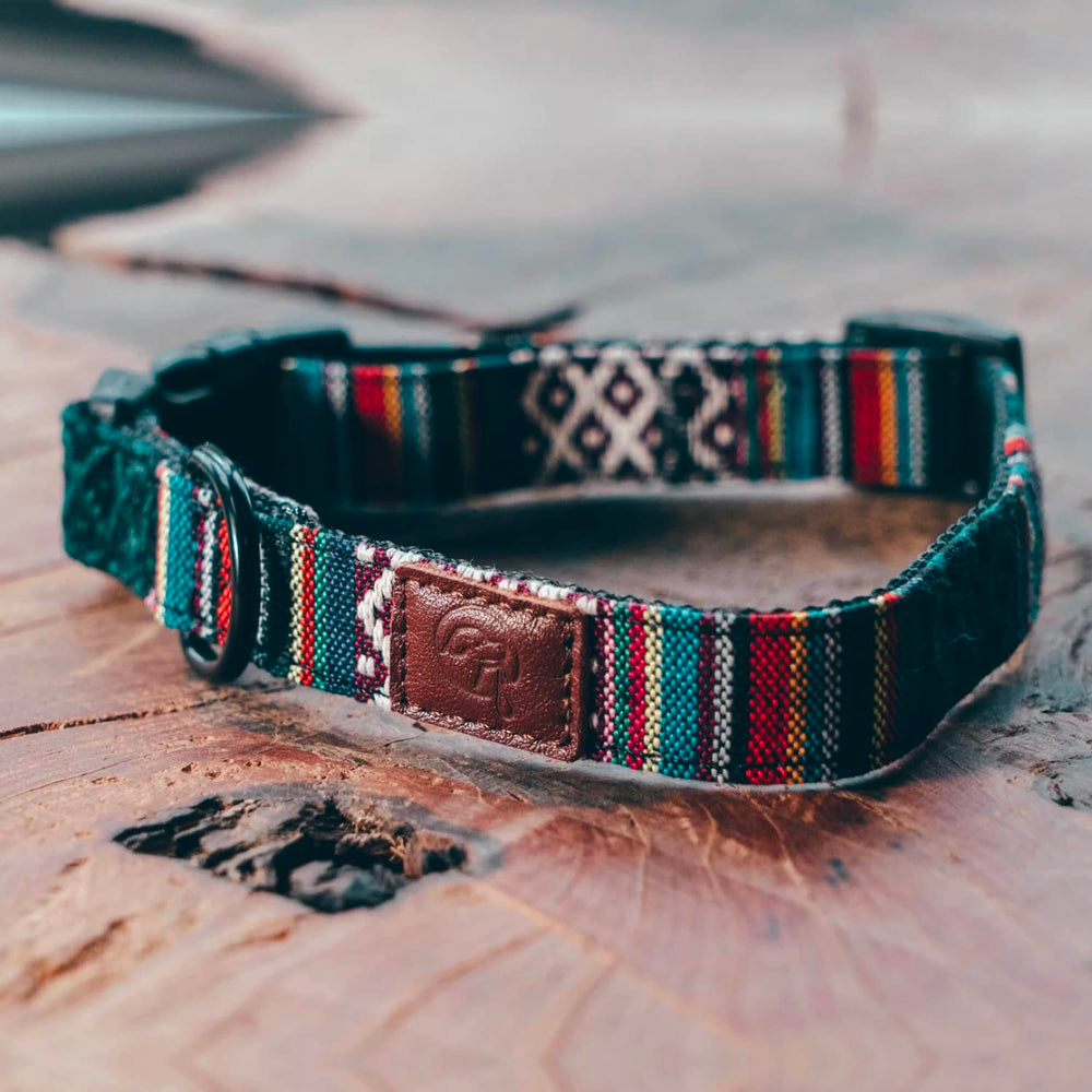 Embark Pets Adventure Dog Collar adjustment sliders close-up enabling quick fit for changing sizes.