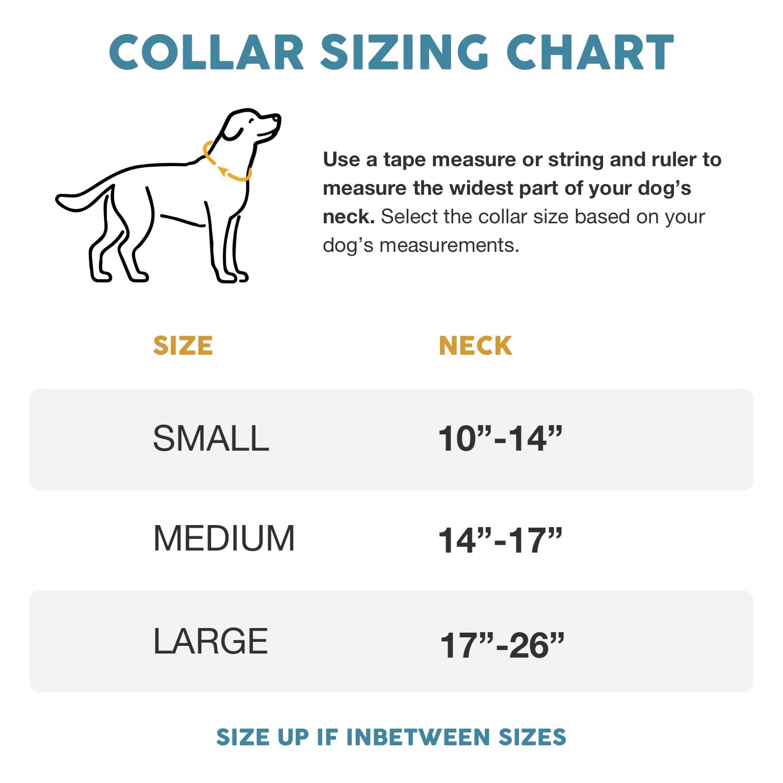 Embark Pets Adventure Dog Collar D-ring close-up highlighting rust-resistant hardware for long-lasting outings.