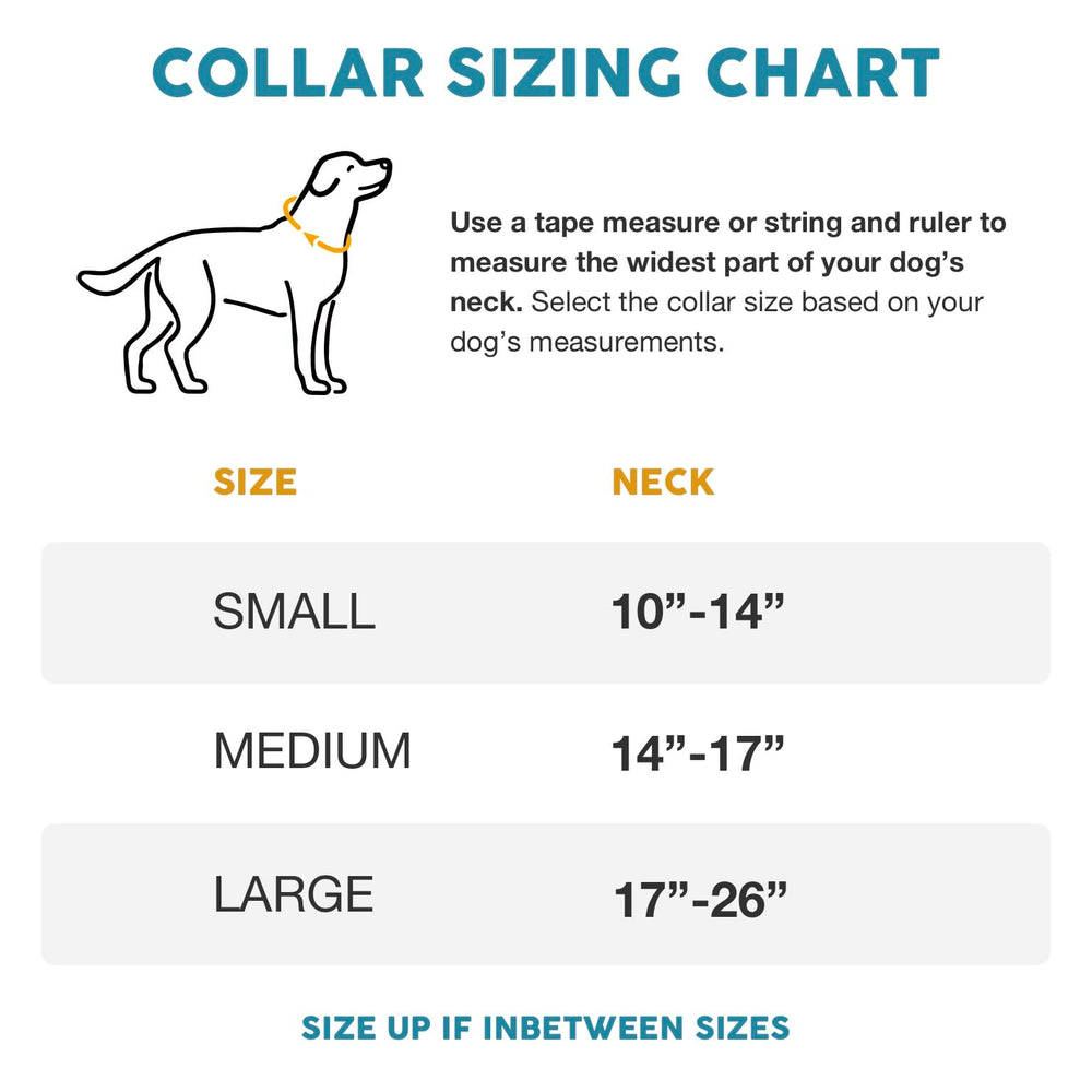 Embark Pets Adventure Dog Collar D-ring close-up highlighting rust-resistant hardware for long-lasting outings.