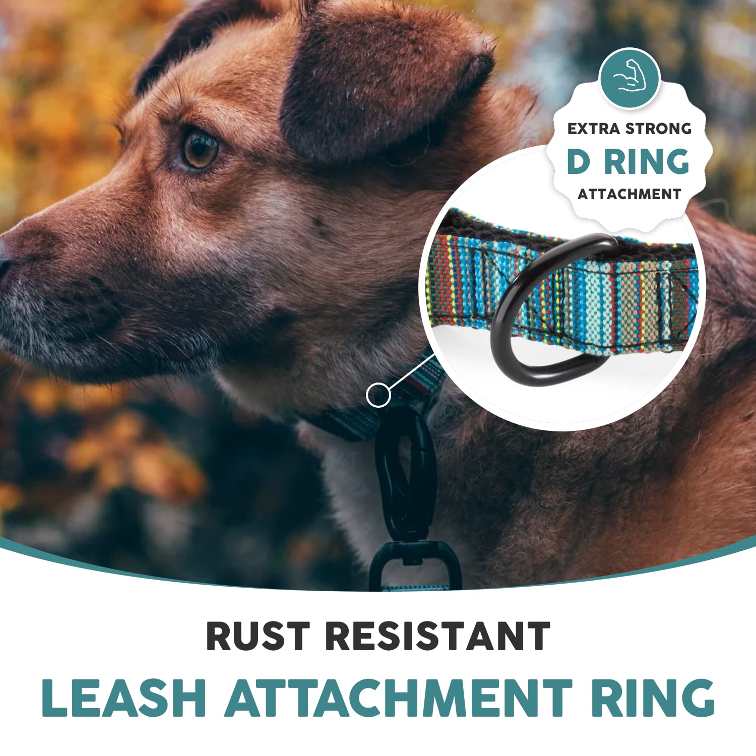 Embark Pets Adventure Dog Collar in use on a large breed dog outdoors