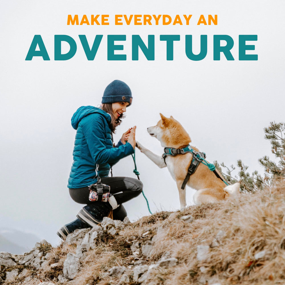 Embark Pets Adventure Dog Collar worn on a dog during outdoor walks and hikes.