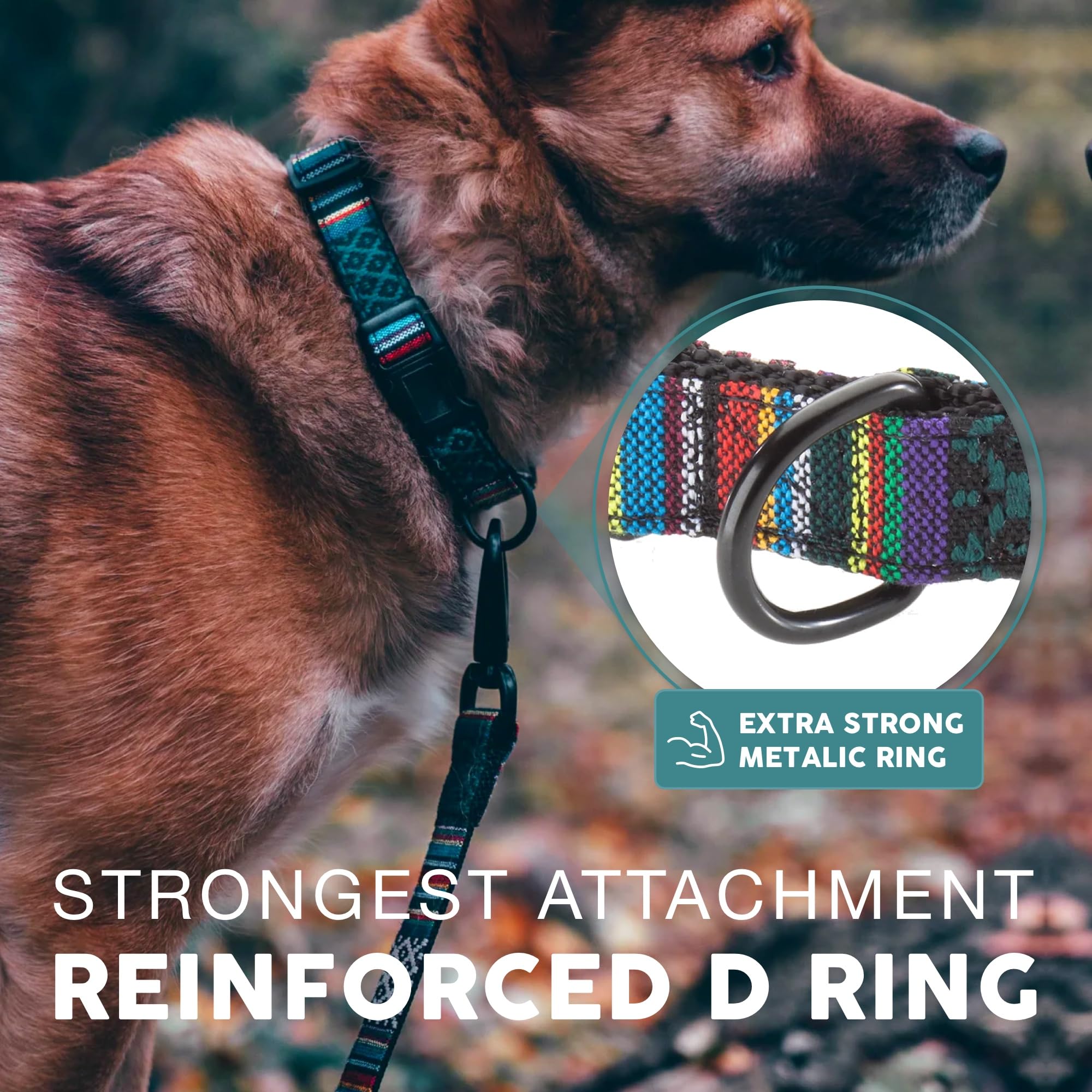 Embark Pets Adventure Dog Collar rugged pull strength close-up suitable for active dogs.